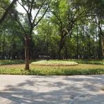 Taman Anggrek at GBK Area